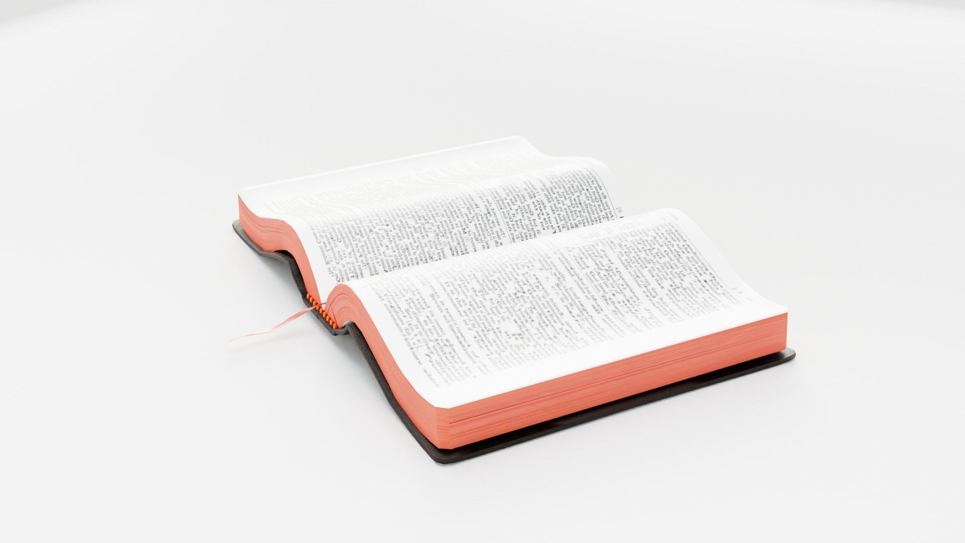 BIBLE RIGGED 3D model_13