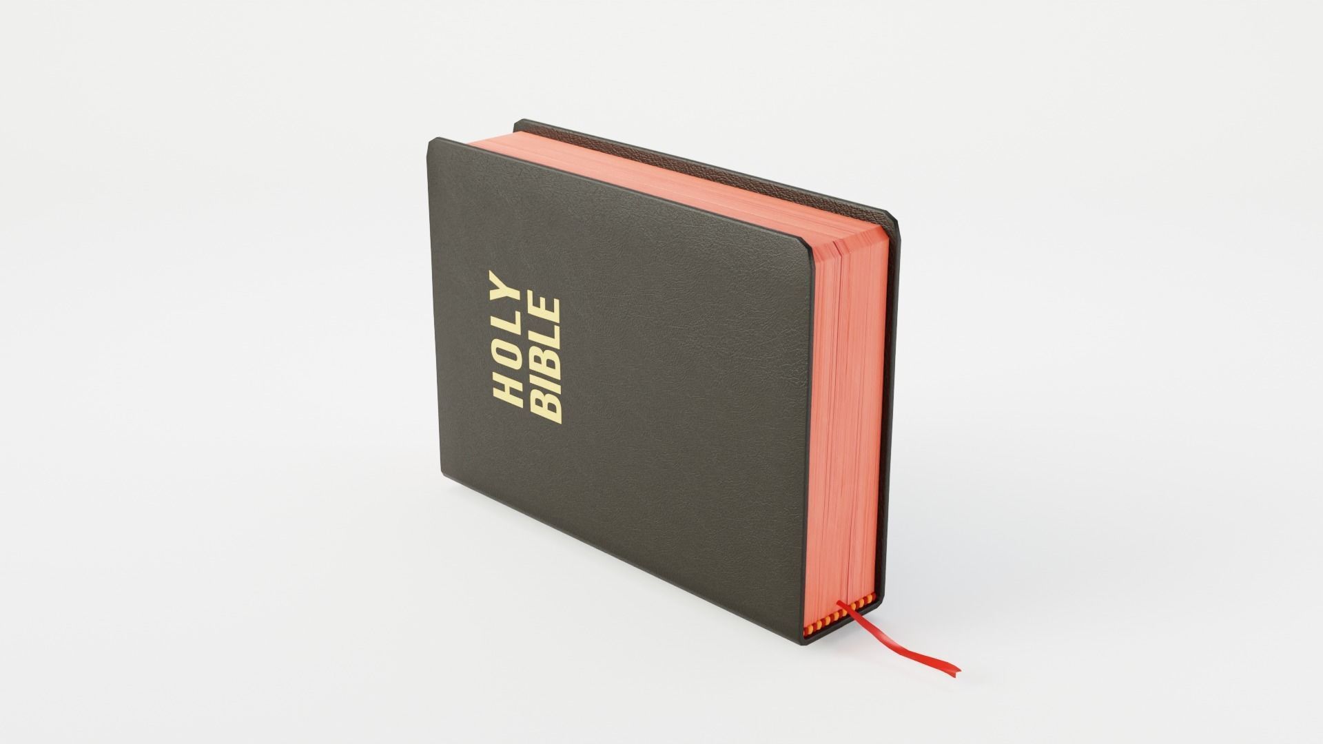 BIBLE RIGGED 3D model_6