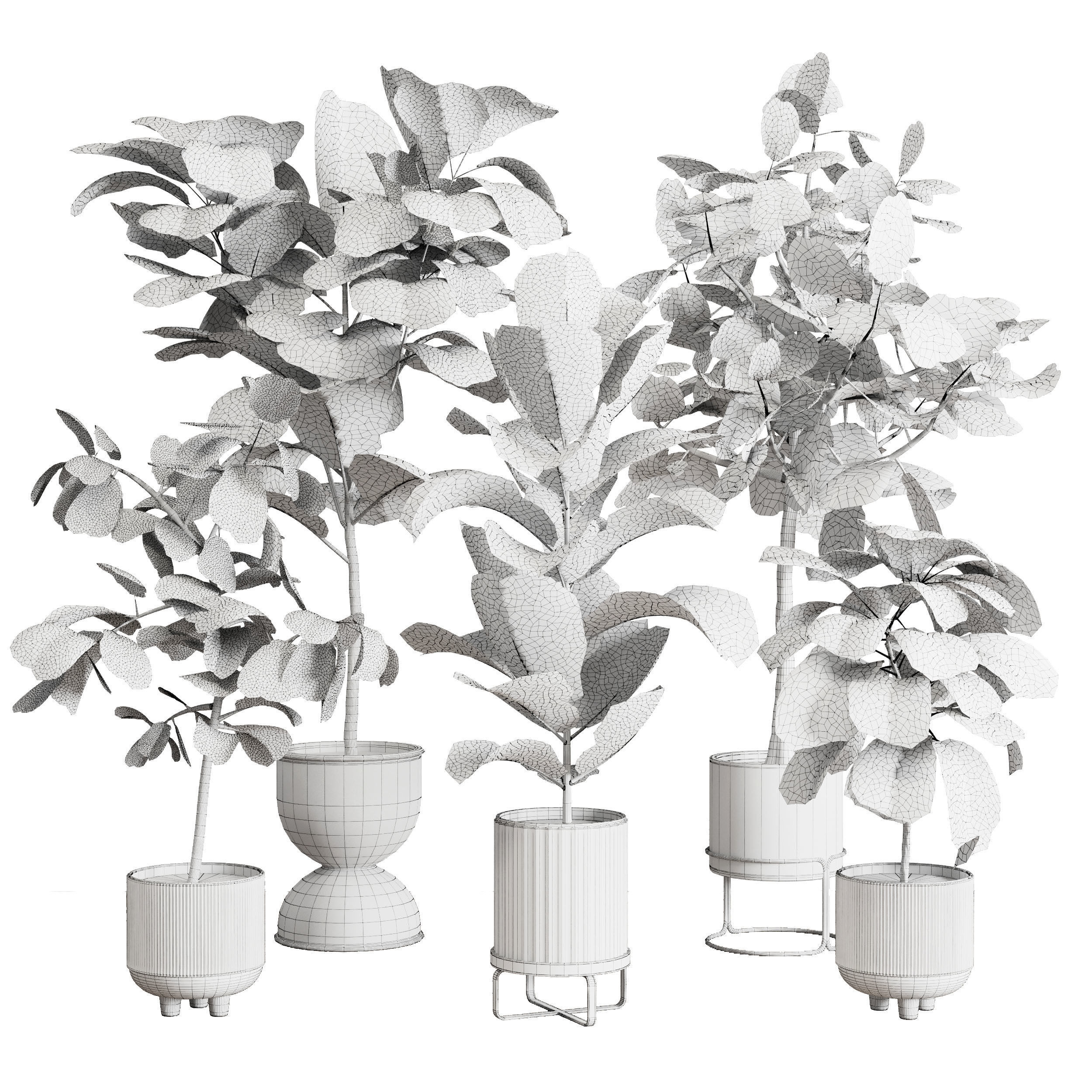 Ficus Lyrata plants - indoor plant set 350 in a concrete pot Low-poly 3D model_7