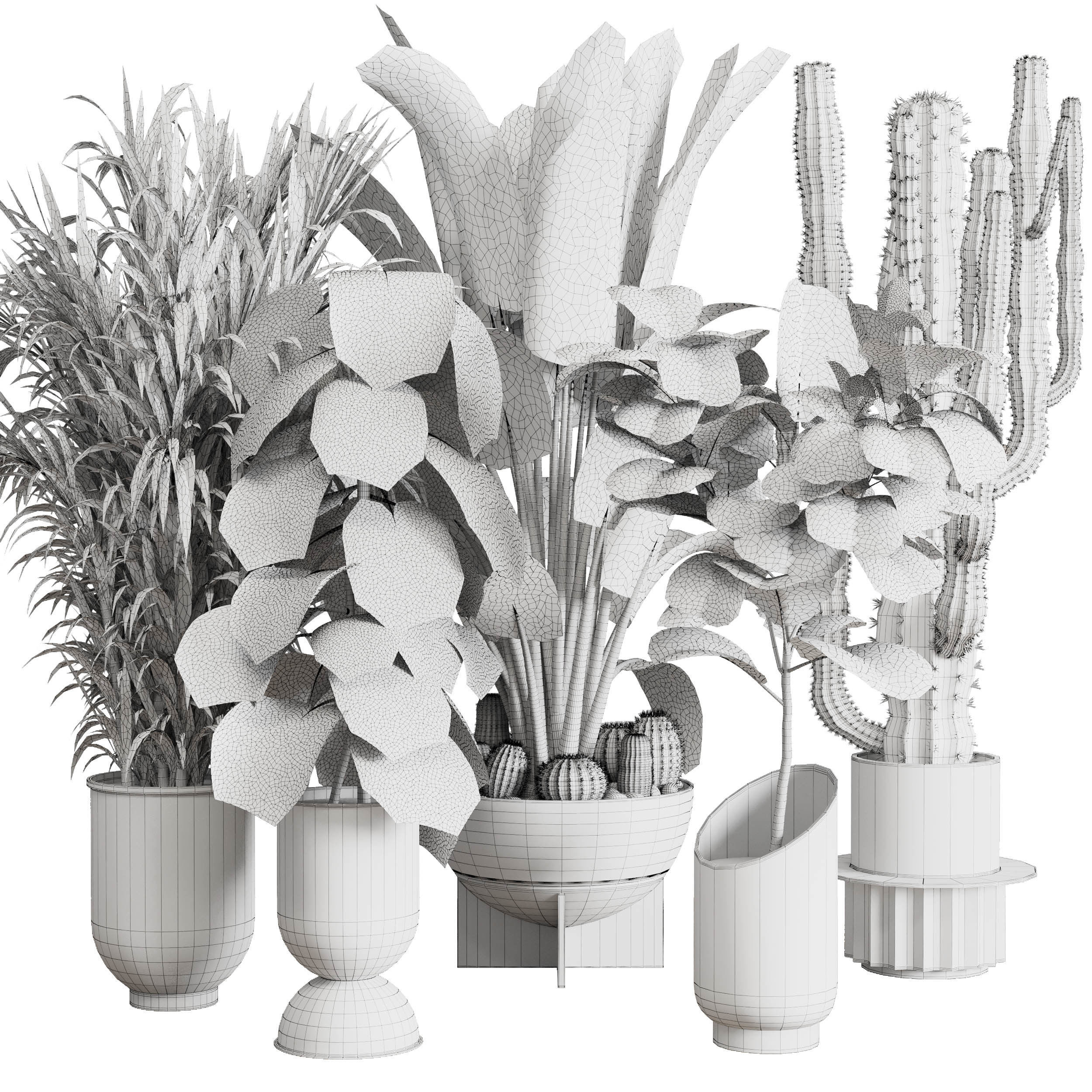 indoor plant set 353 ravenala palm lyrata cactus concrete dirt Low-poly 3D model_6