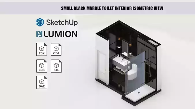 Small black marble toilet interior isometric view