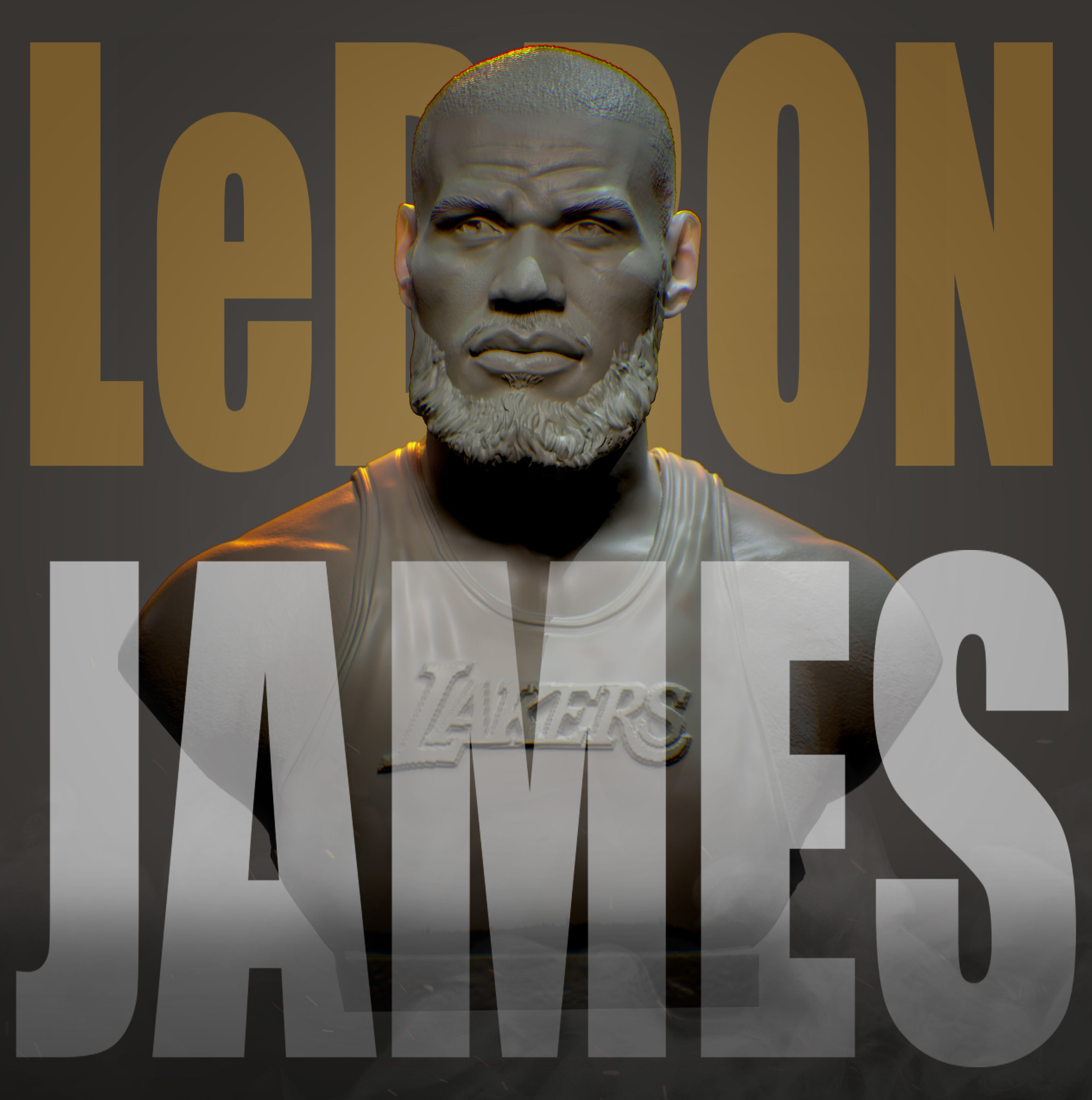 Lebron James 3D print model_17
