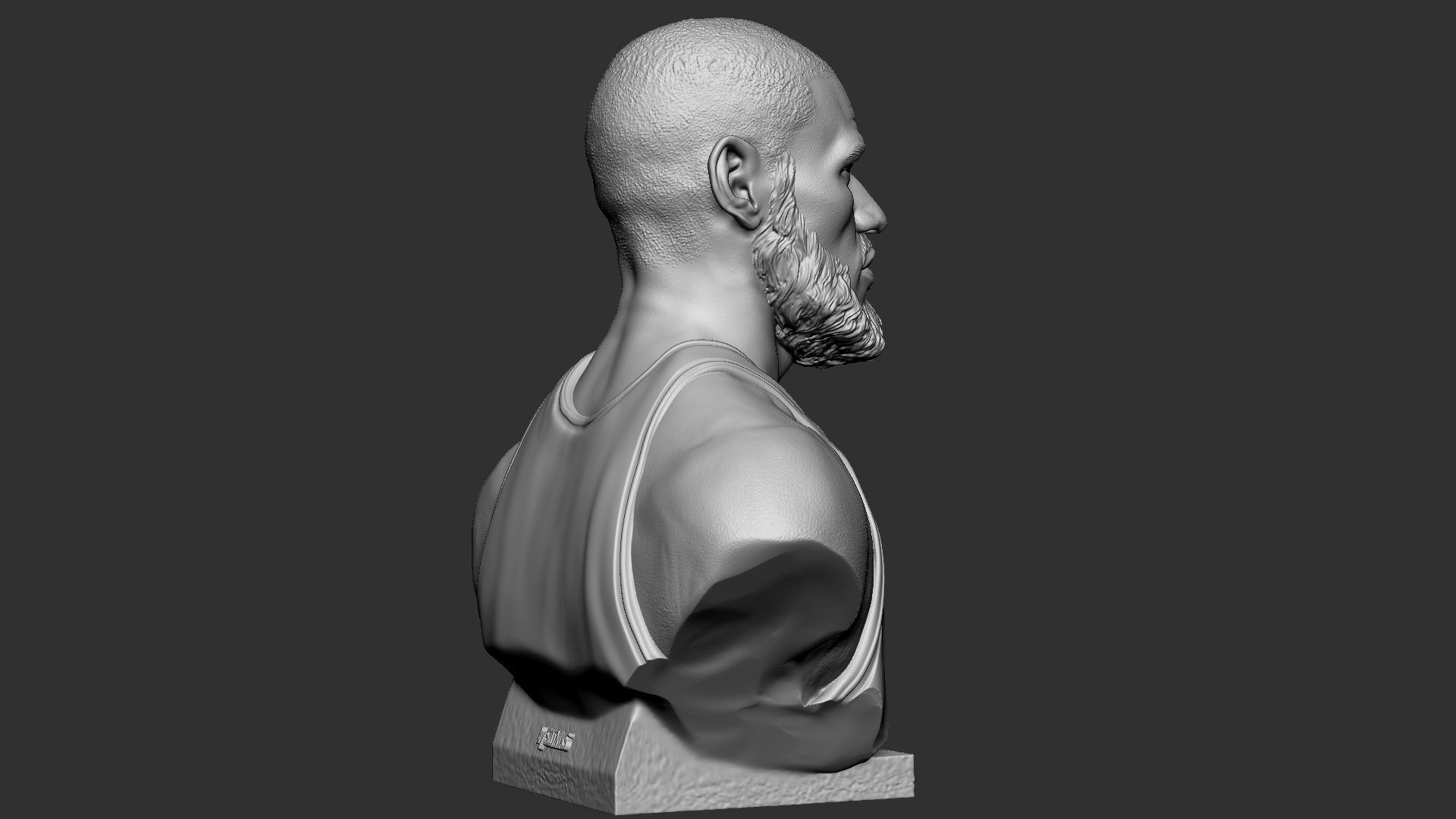 Lebron James 3D print model_14