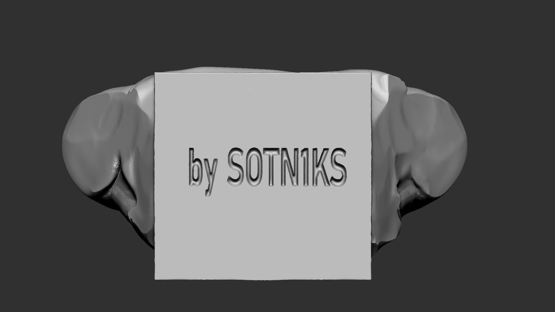 Lebron James 3D print model_35