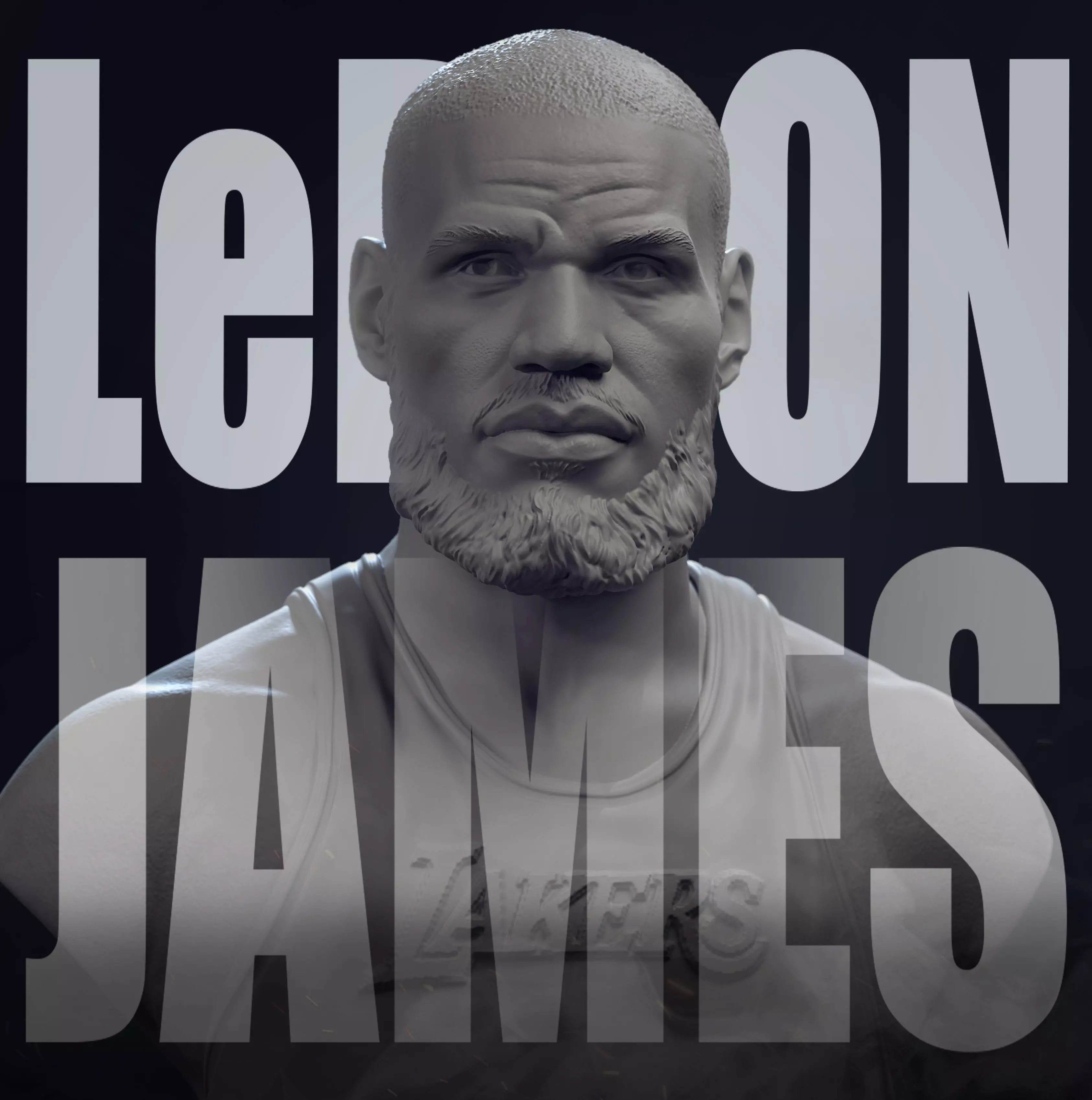 Lebron James 3D print model_0