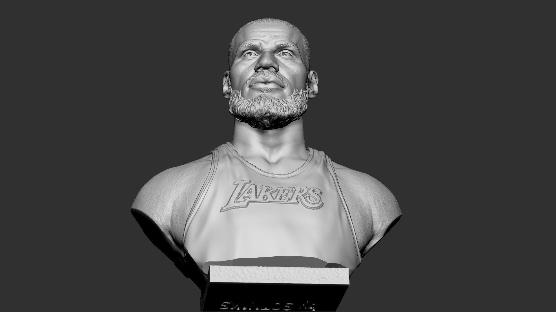 Lebron James 3D print model_34