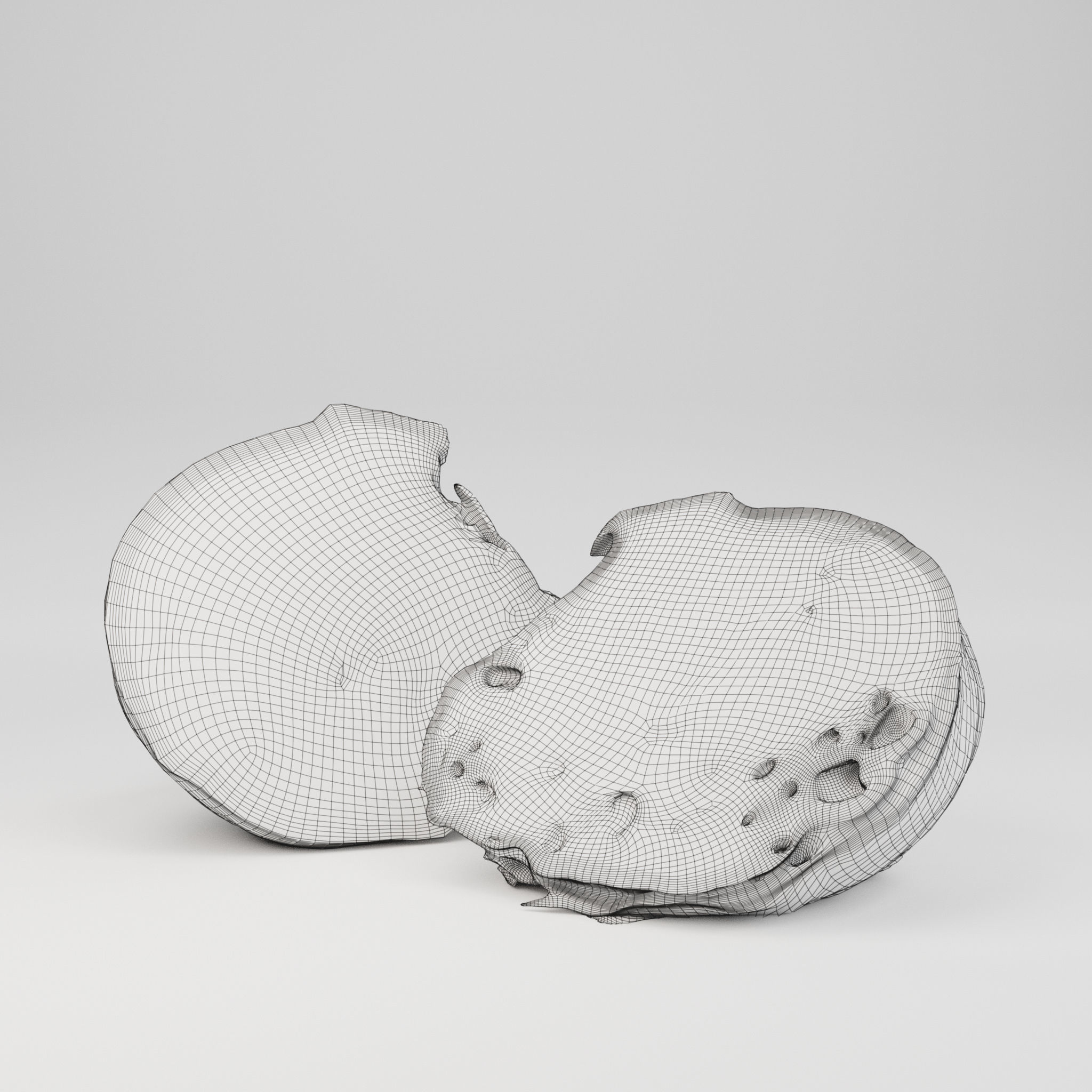 Iceberg Lettuce - 3D Scan 3D model_6