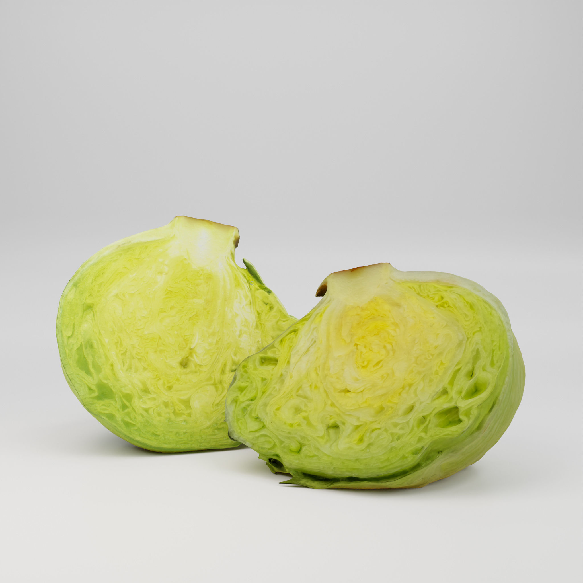 Iceberg Lettuce - 3D Scan 3D model_5