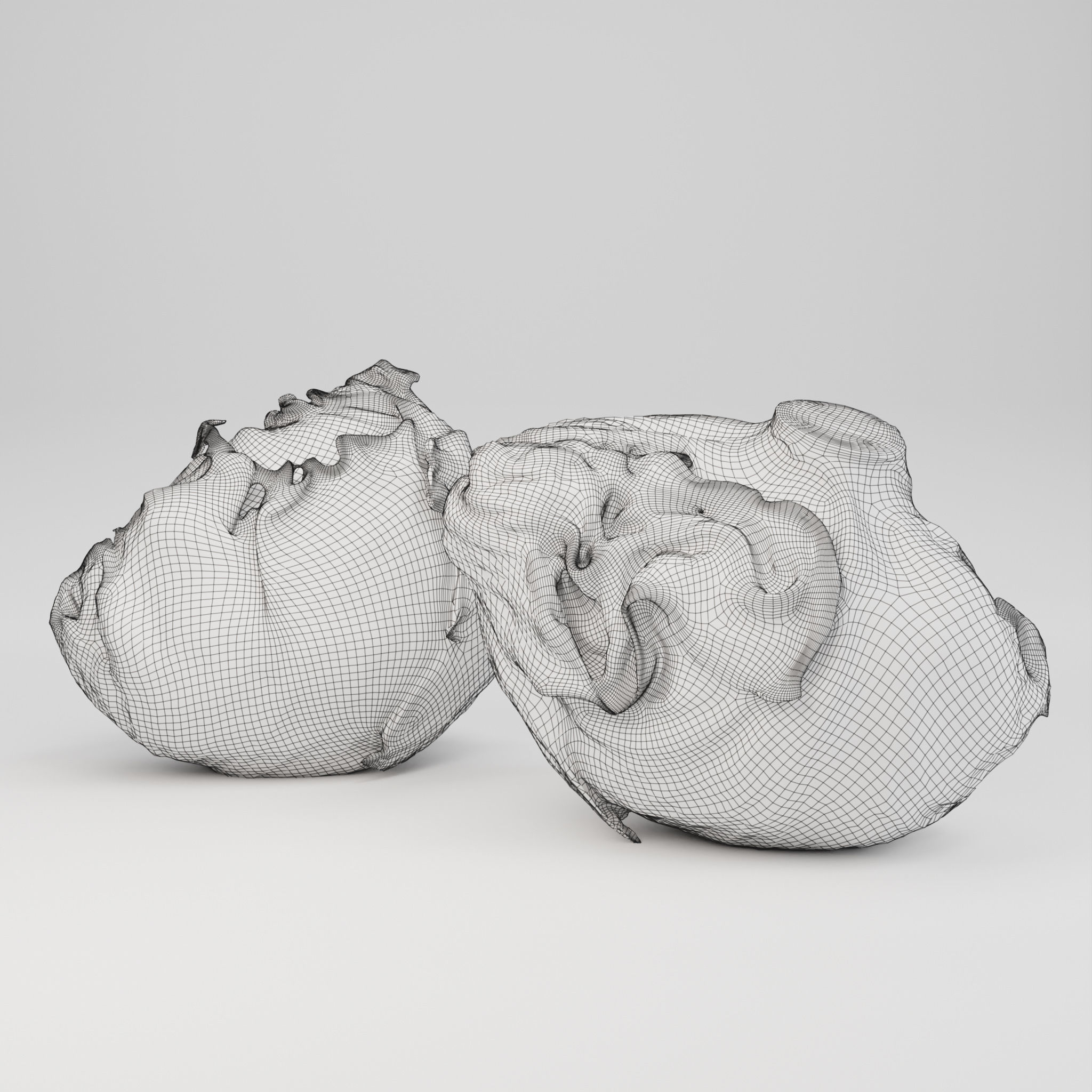 Iceberg Lettuce - 3D Scan 3D model_4