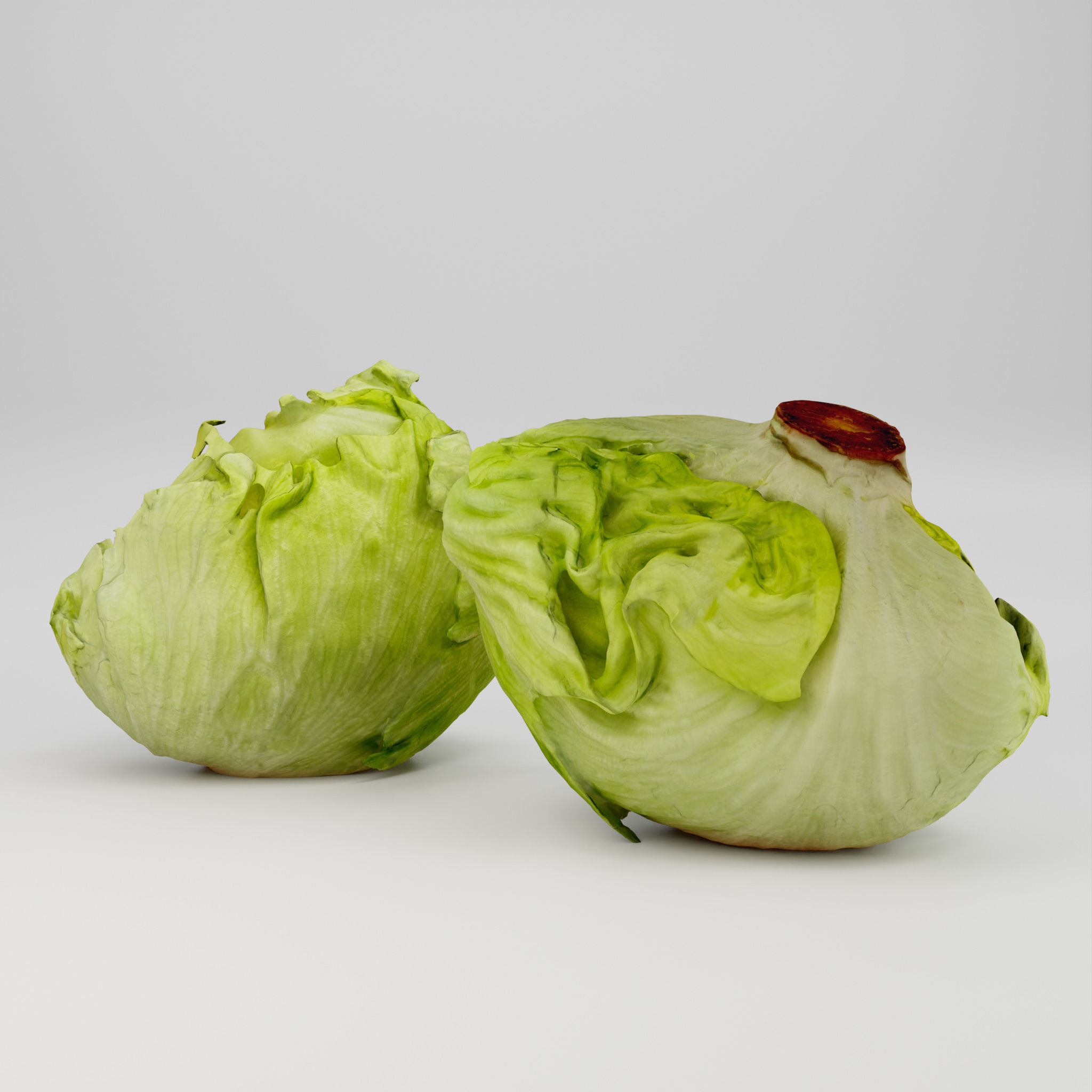 Iceberg Lettuce - 3D Scan 3D model_3