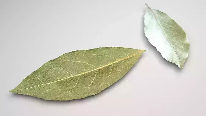 Dried bay leaves
