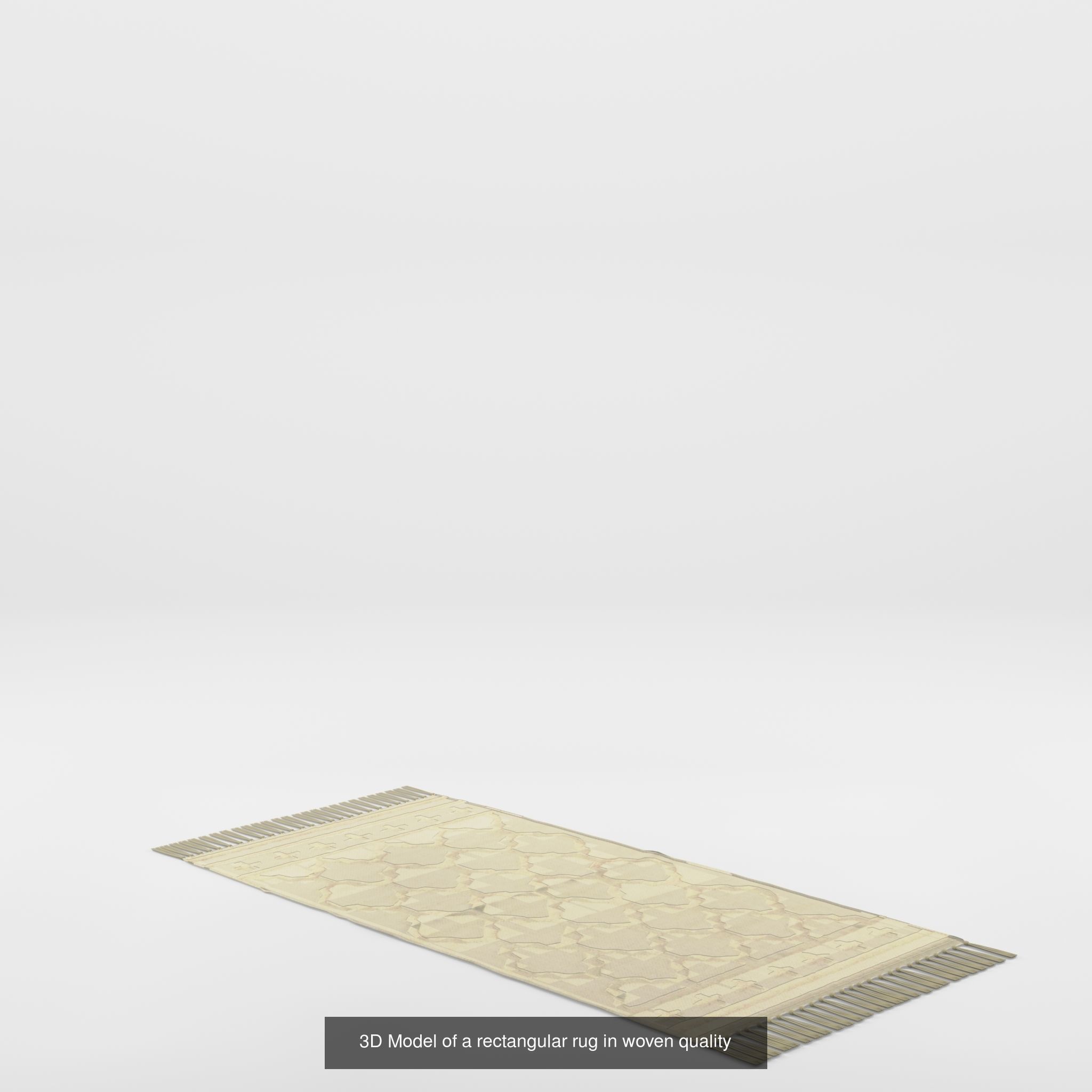 COLLECTION-1 OF Rug - 5 models _5