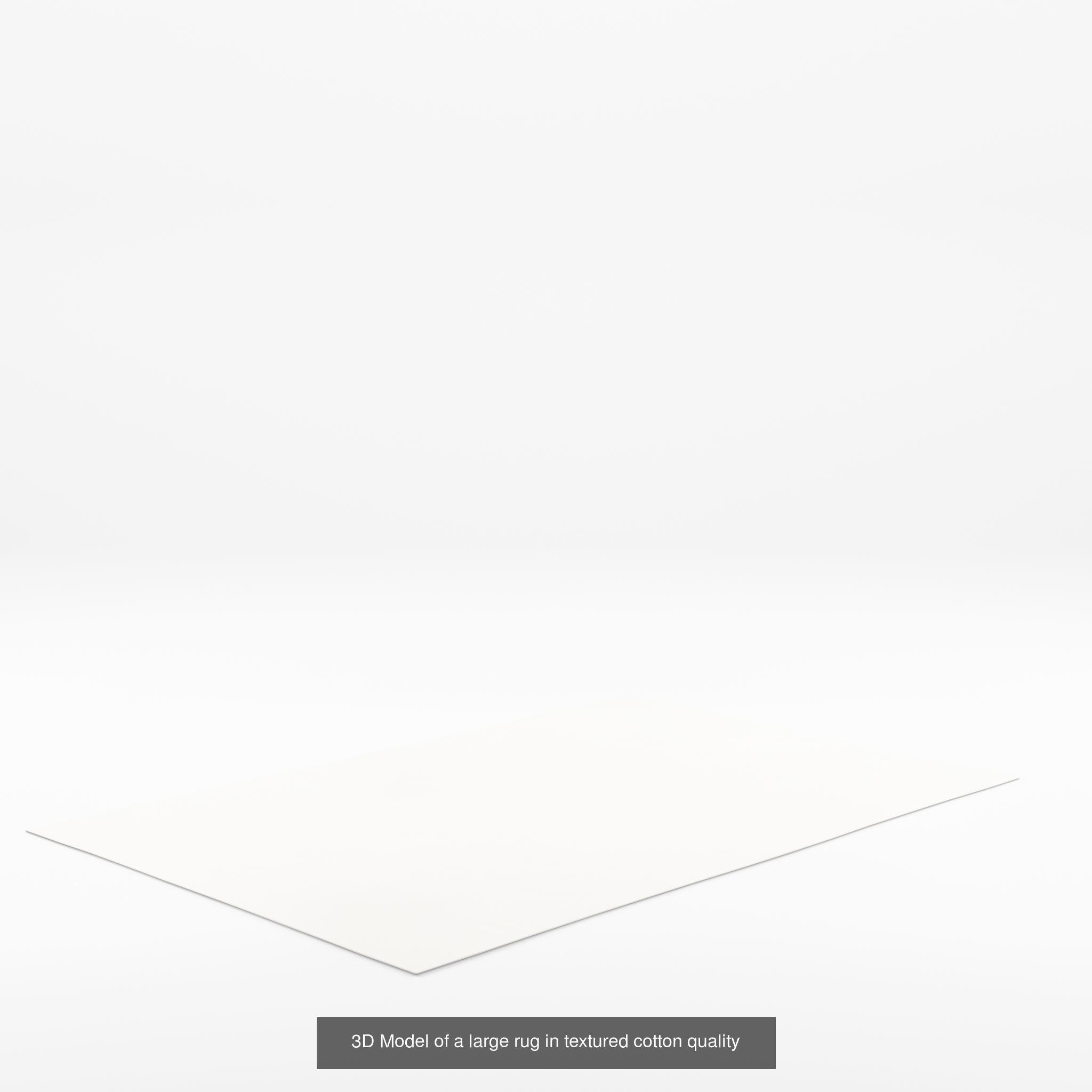 COLLECTION-2 OF Rug - 5 models _4