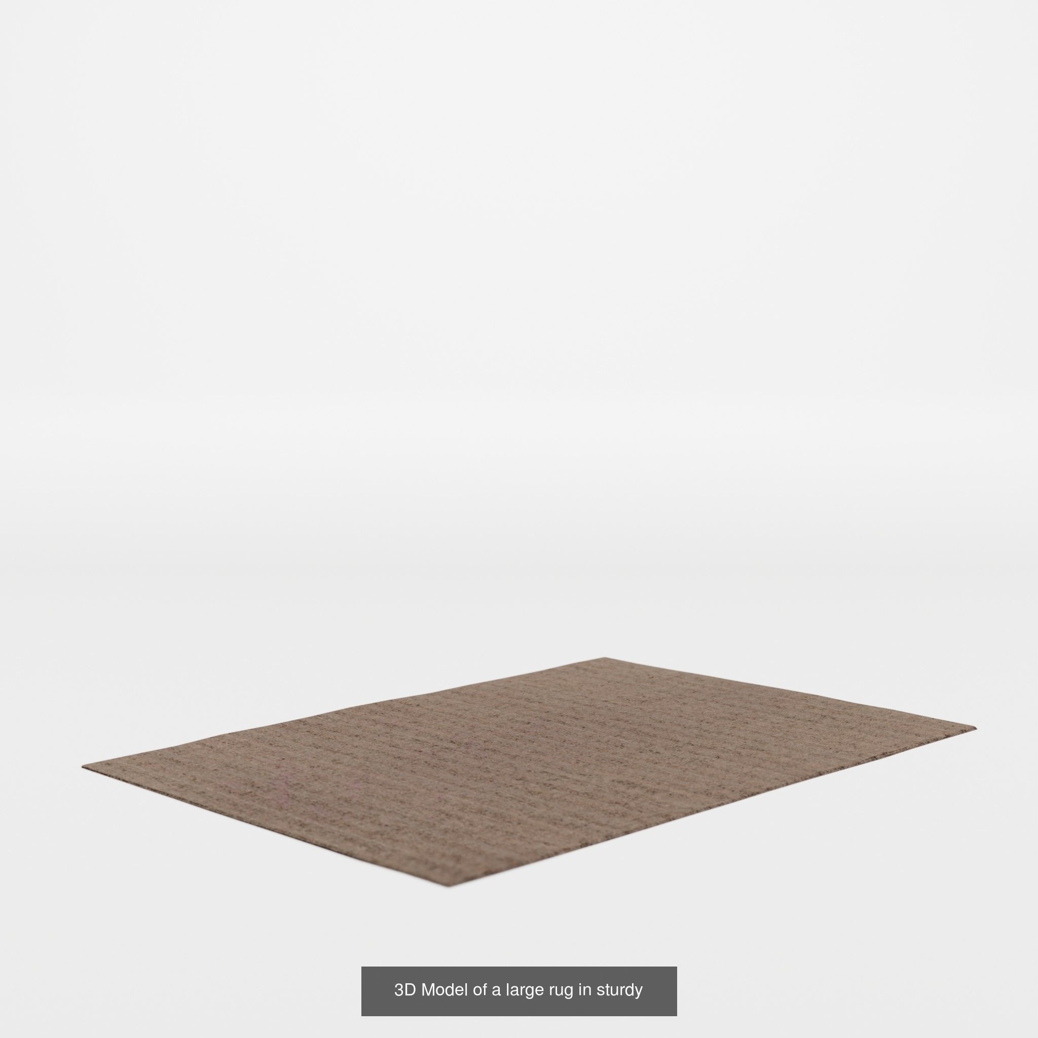 COLLECTION-1 OF Rug - 10 models _4