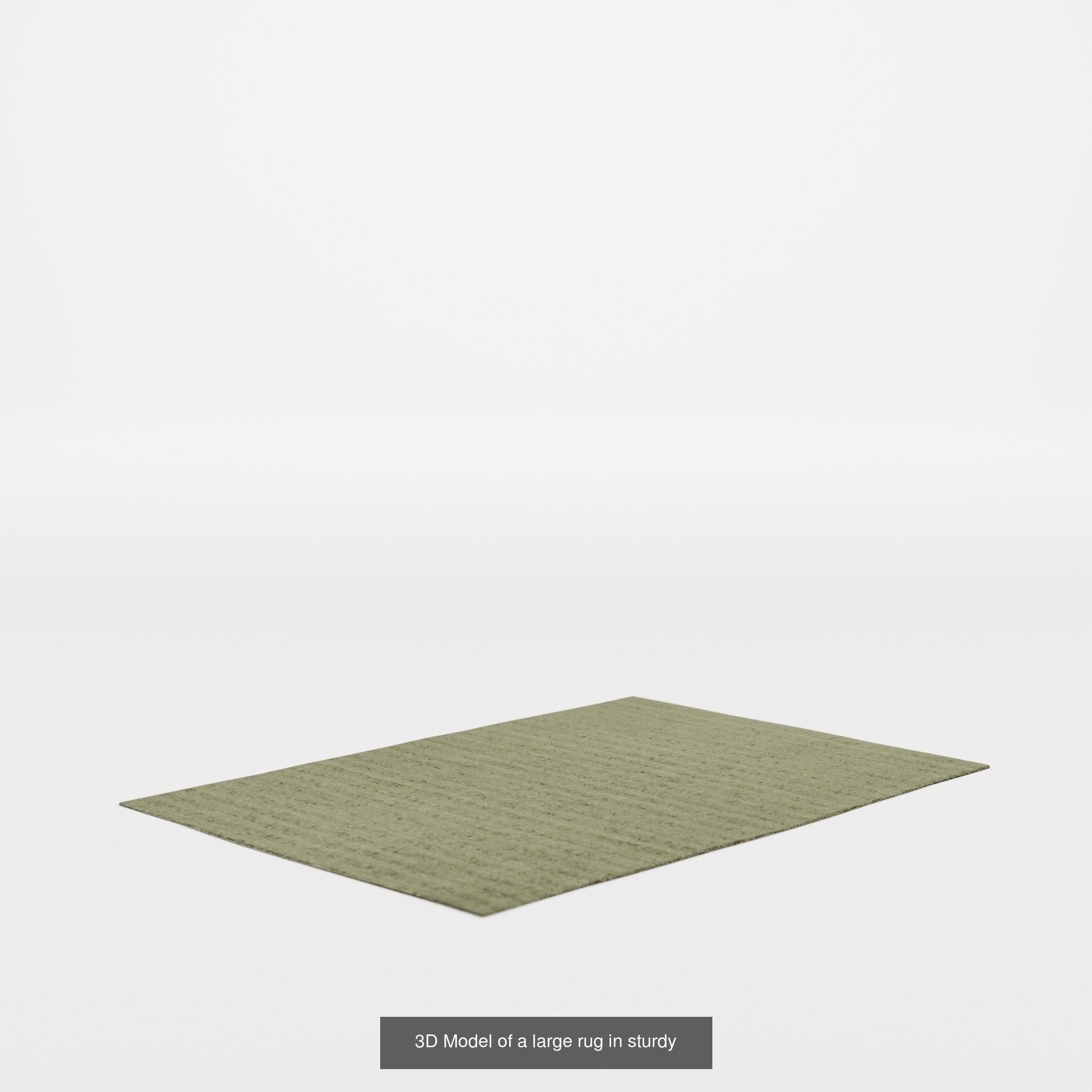 COLLECTION-1 OF Rug - 10 models _5