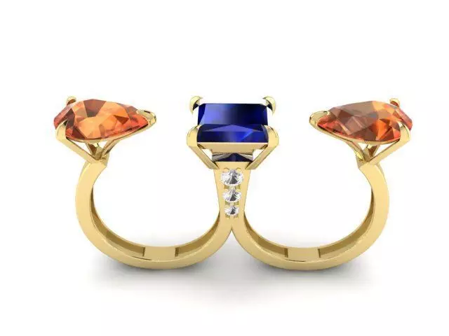 Double Ring 3D print model