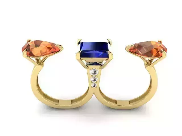 Double Ring  3D print model