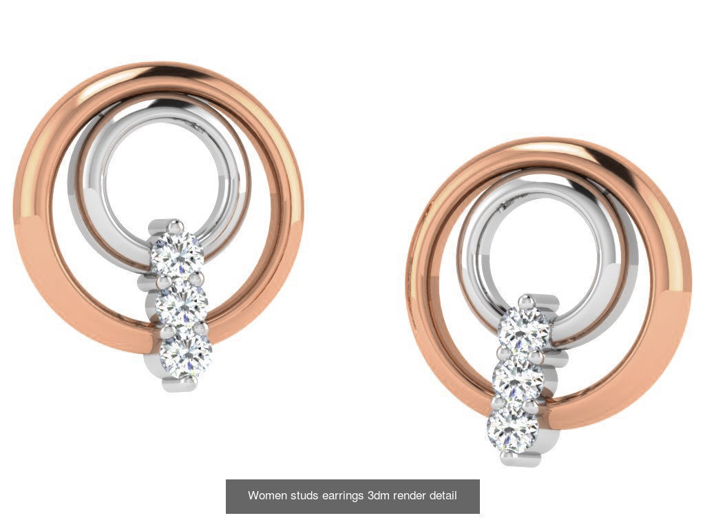 395 Women studs earrings 3dm render detail  3D Model Collection_157