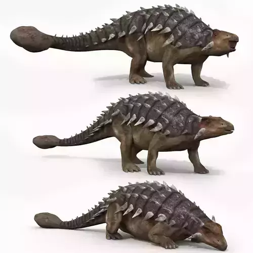 Ankylosaur 8K - fully animated Low-poly 3D model