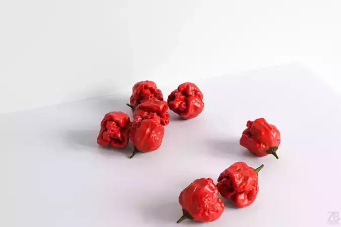 Carolina Reaper 3D model