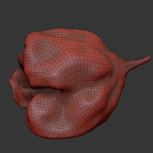 Carolina Reaper 3D model 7