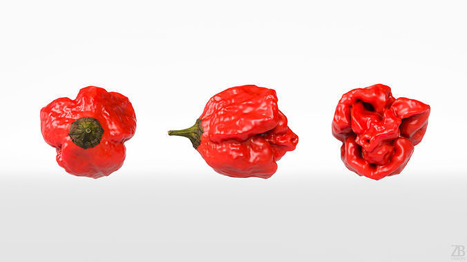 Carolina Reaper 3D model 5