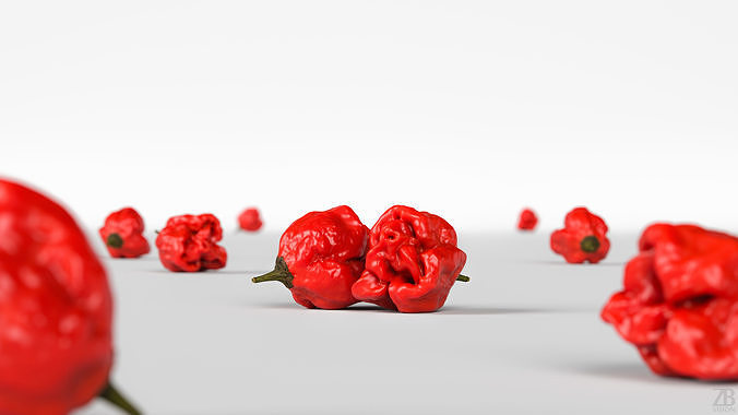 Carolina Reaper 3D model 2