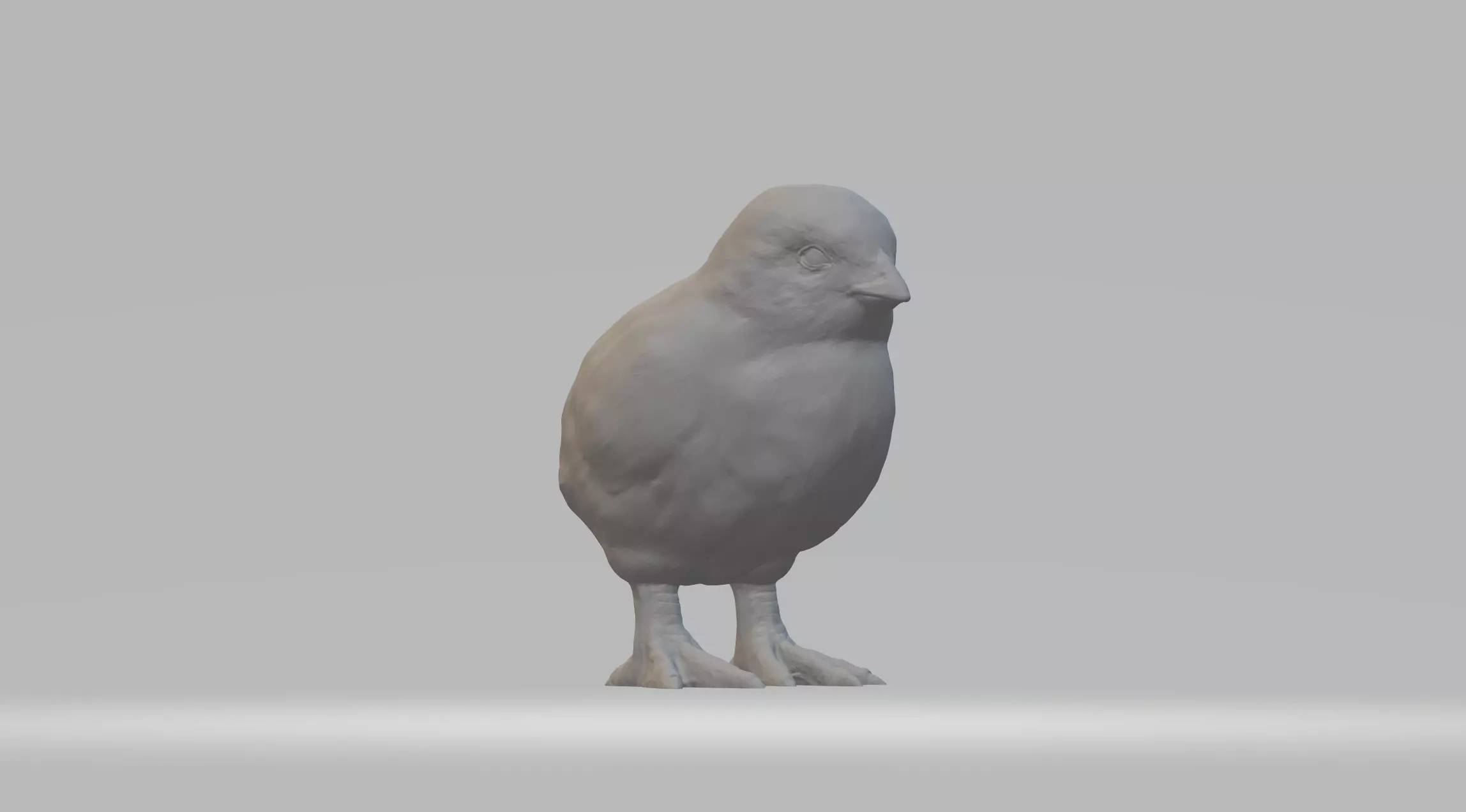 Chick bird 3D print model_0