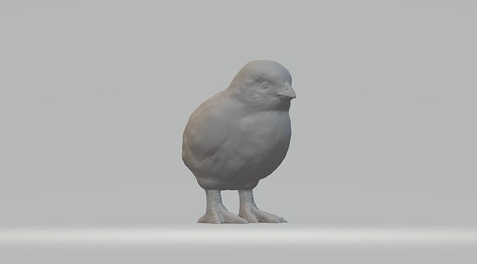 Chick bird 3D print model