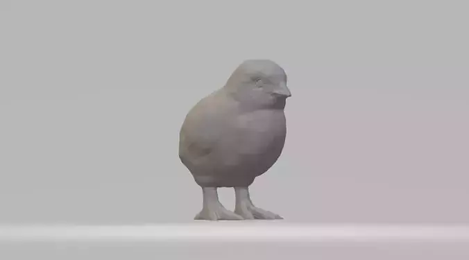 Chick bird 3D print model