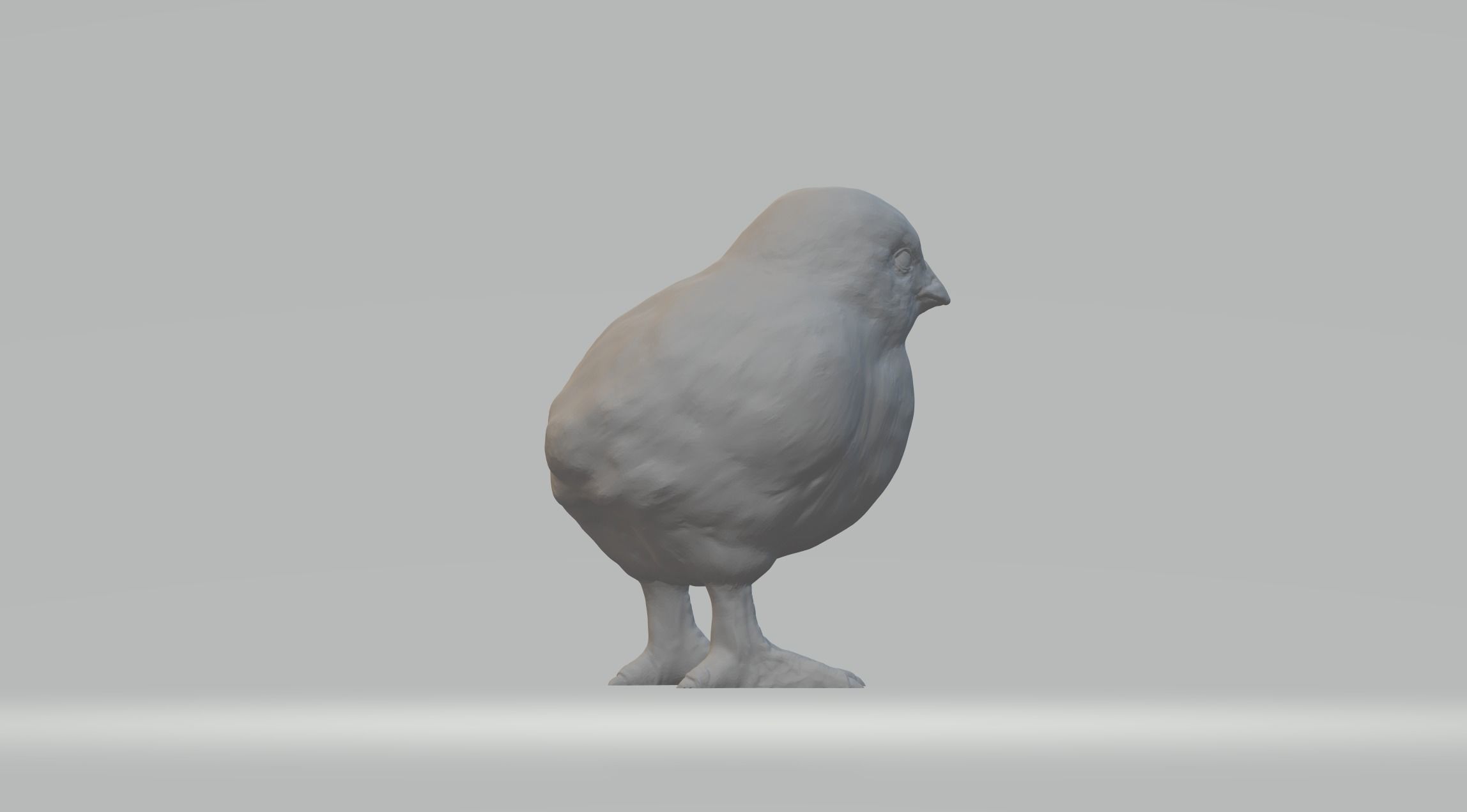 Chick bird 3D print model_4