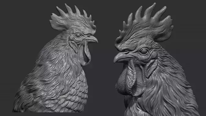 Rooster bust 3D print model