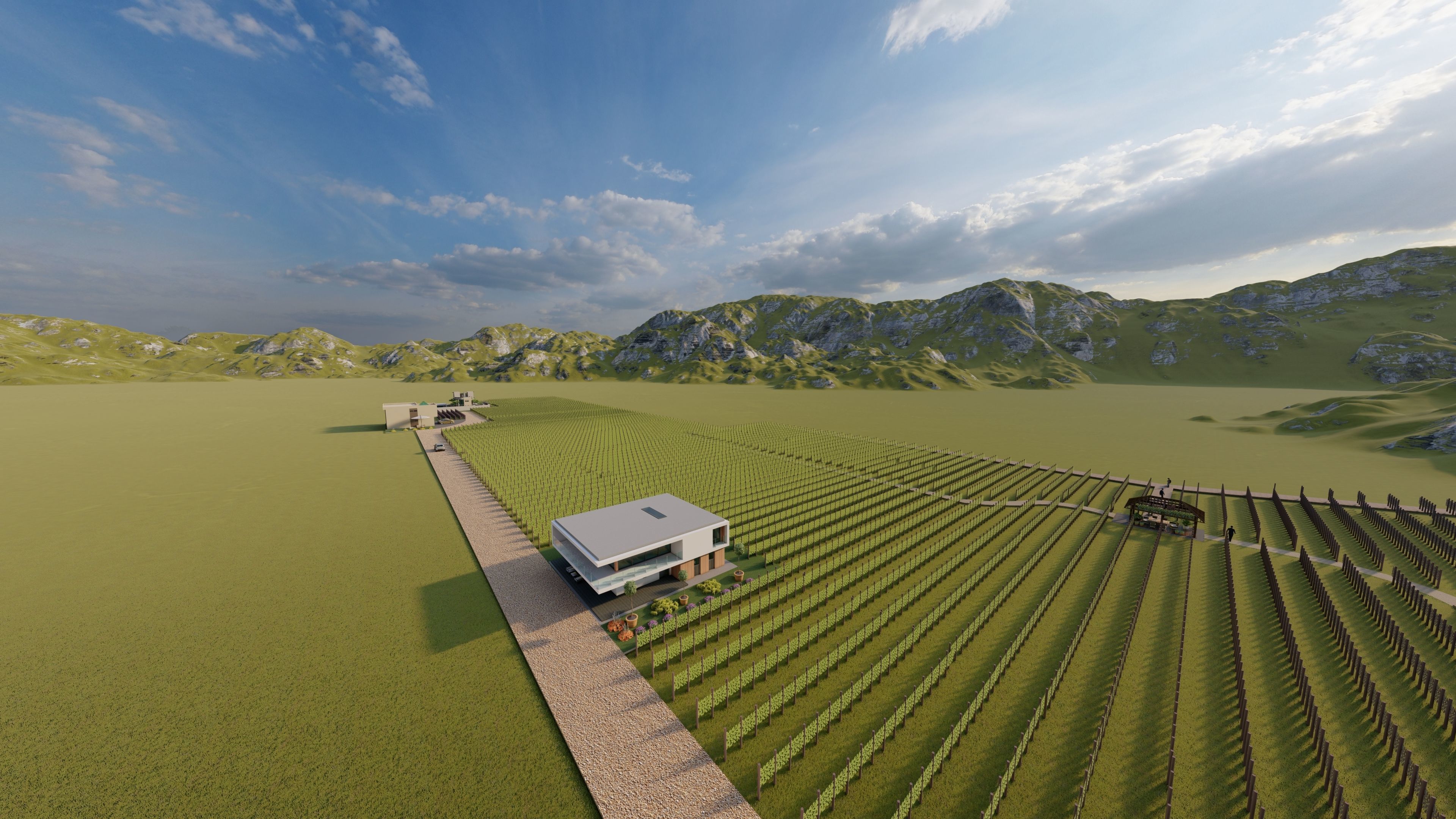 Agriculture landscape model Grapevine design  Low-poly 3D model_5