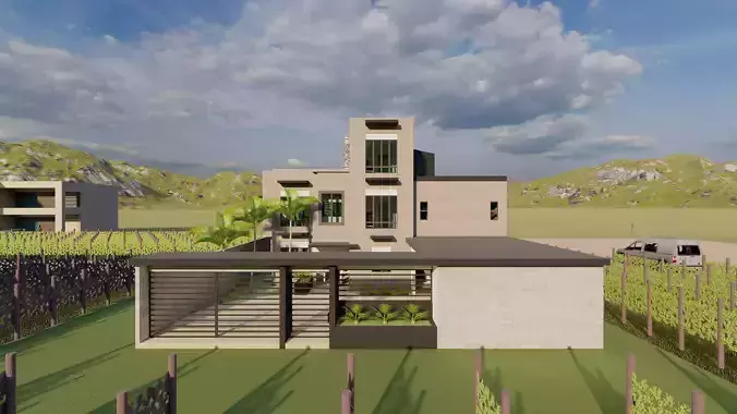 Agriculture landscape model Grapevine design 