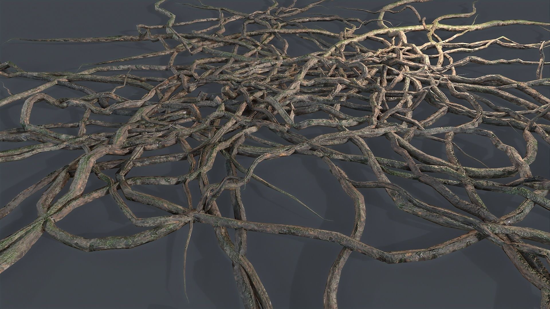 3D model Wood Roots VR / AR / low-poly | CGTrader