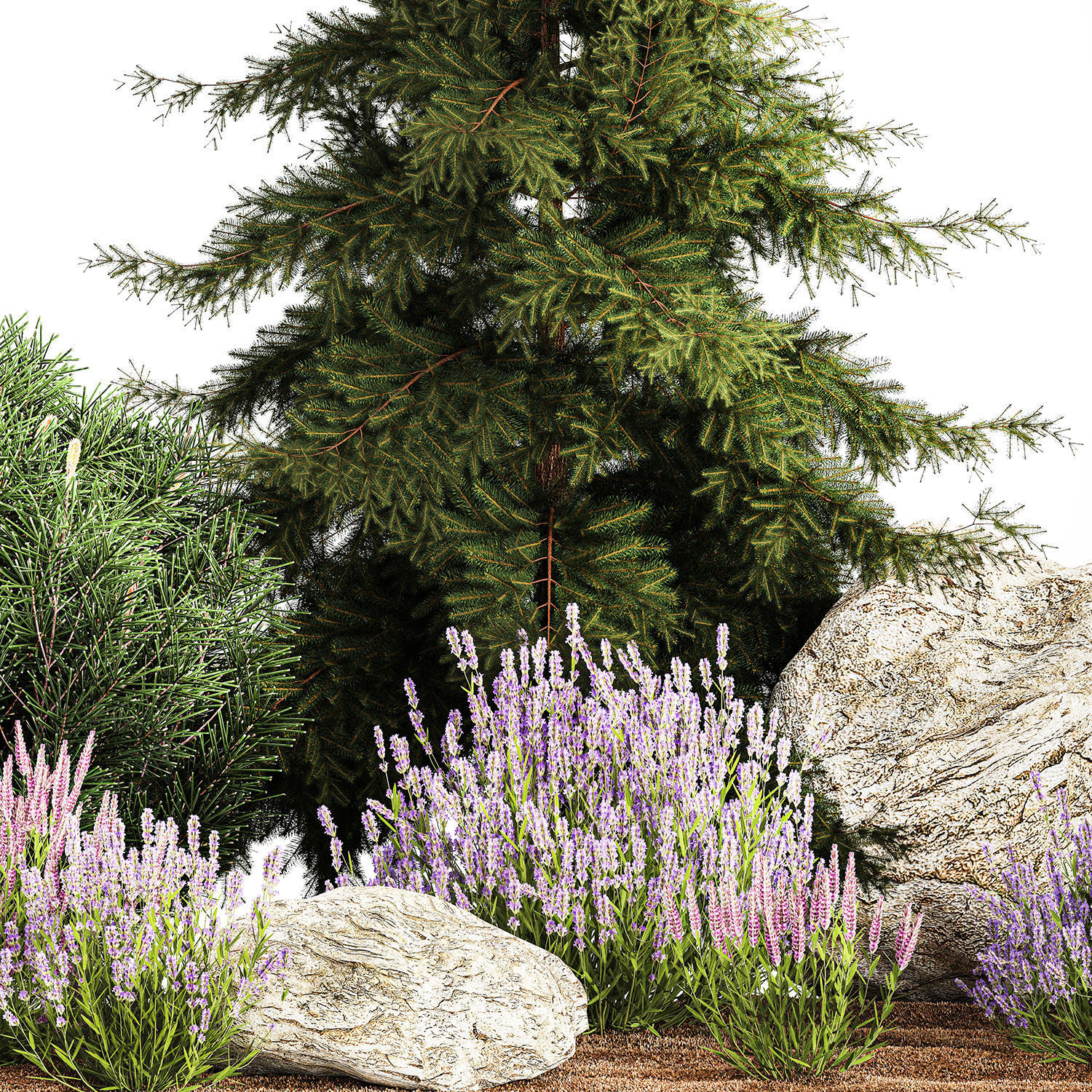 Alpine slide with thuja spruce lavender bushes and stones 1195 3D model_6