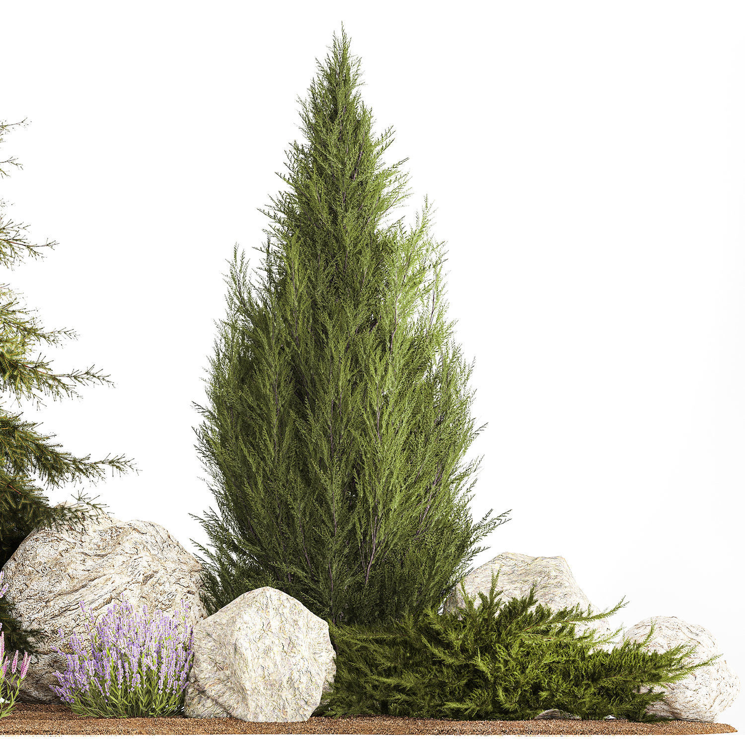 Alpine slide with thuja spruce lavender bushes and stones 1195 3D model_5