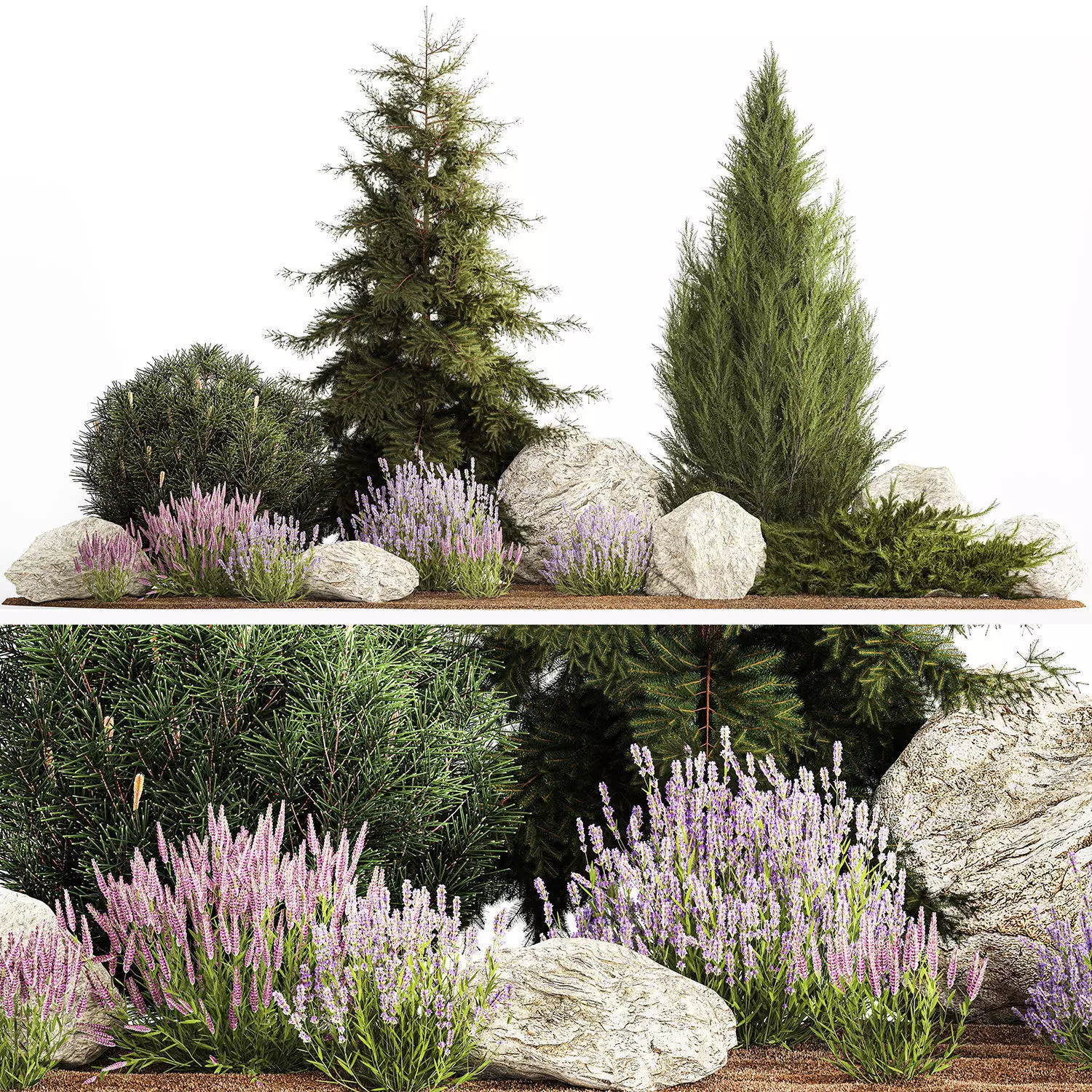 Alpine slide with thuja spruce lavender bushes and stones 1195 3D model_0