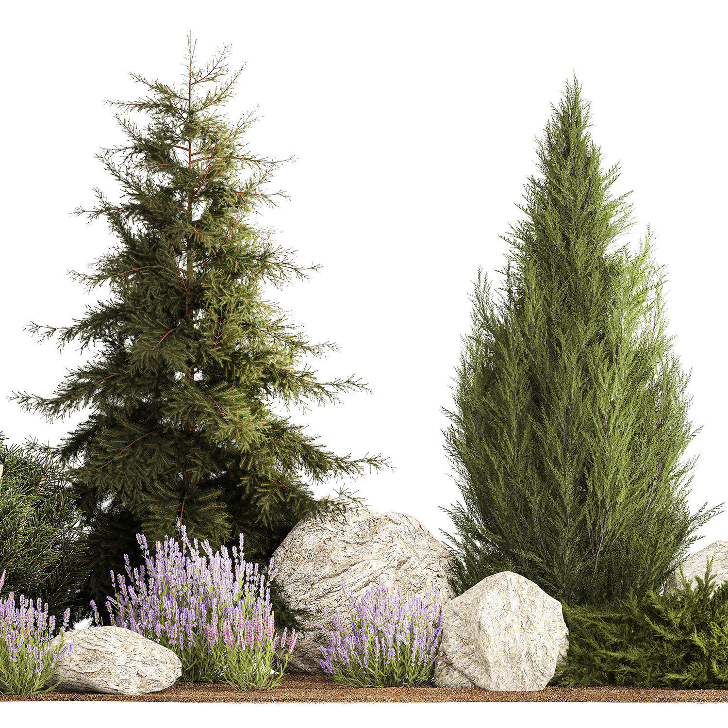Alpine slide with thuja spruce lavender bushes and stones 1195 3D model_4