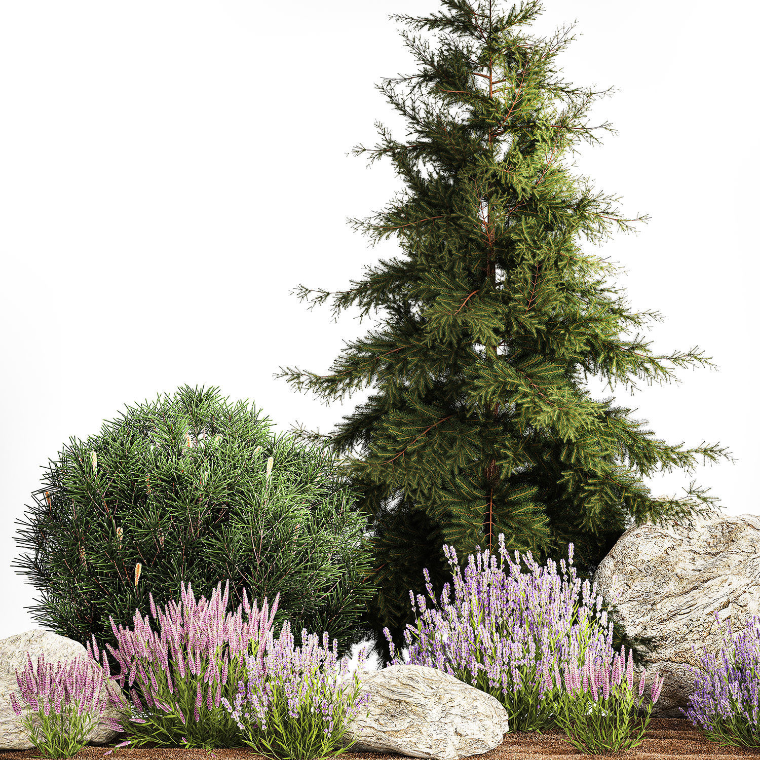 Alpine slide with thuja spruce lavender bushes and stones 1195 3D model_2