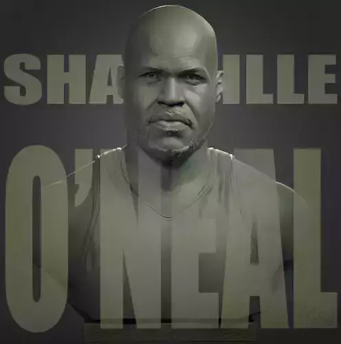 Shaquille ONeal 3D print model