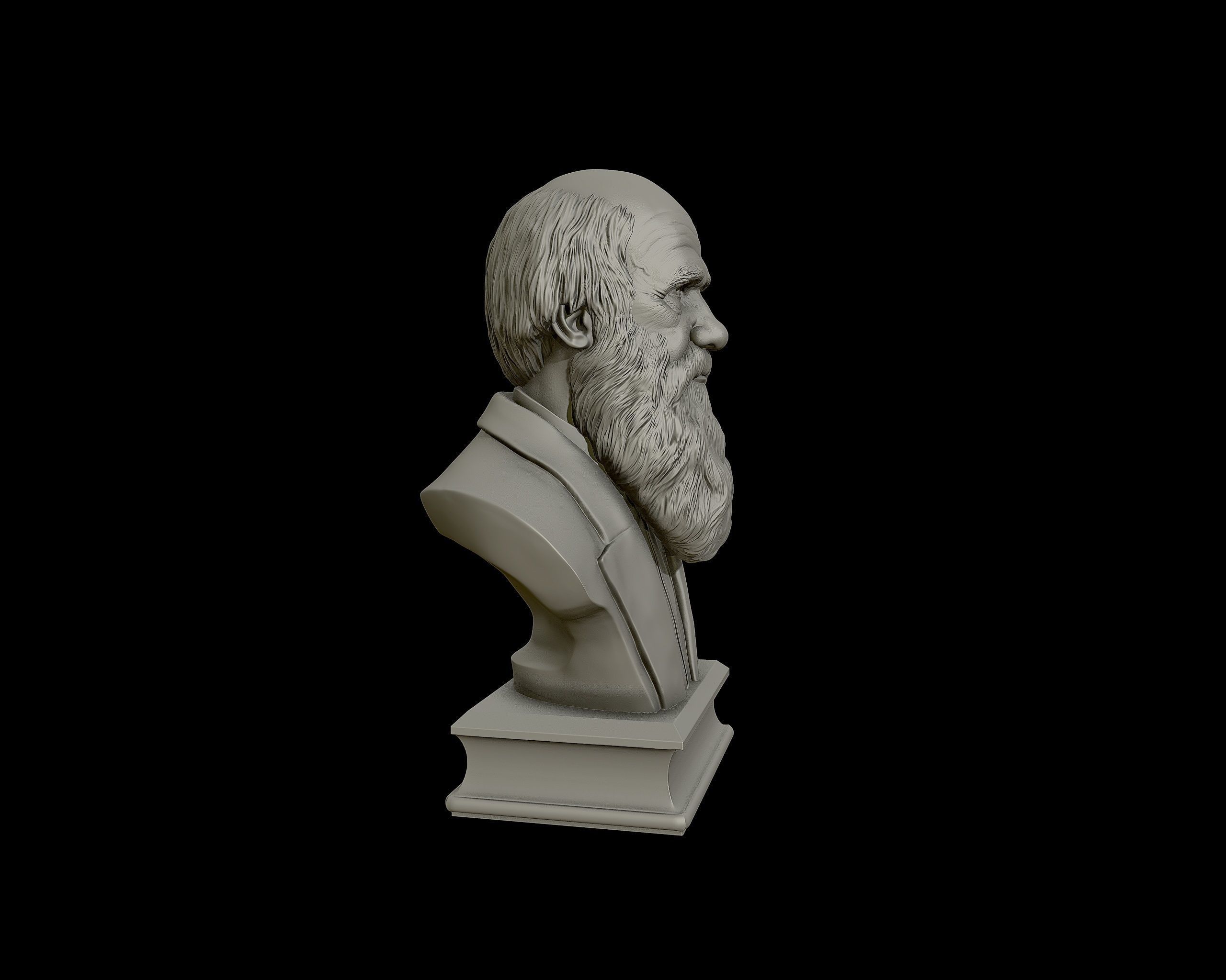 Charles Darwin portrait sculpture 3D print model_24