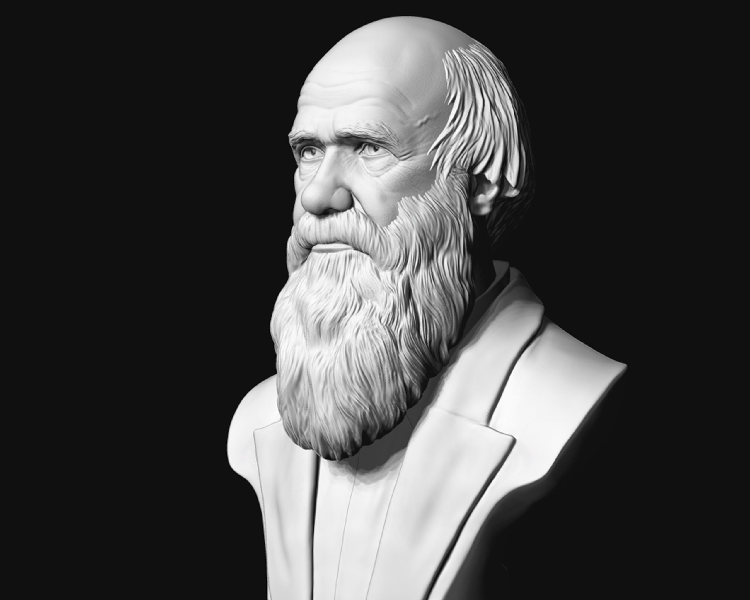 Charles Darwin portrait sculpture 3D print model_3