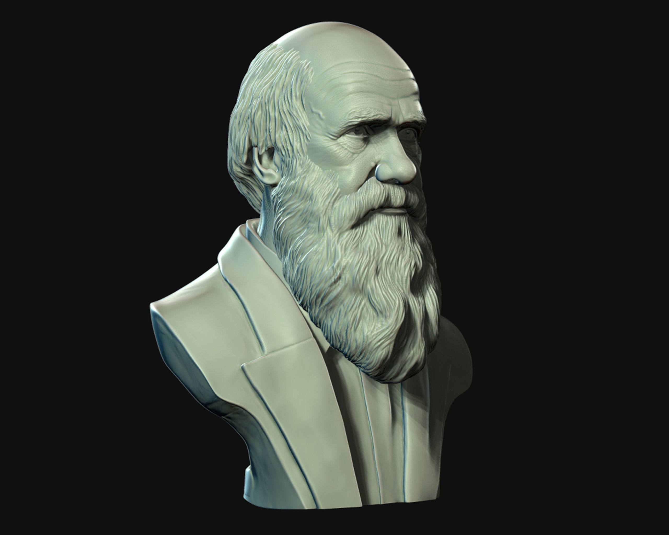 Charles Darwin portrait sculpture 3D print model_14