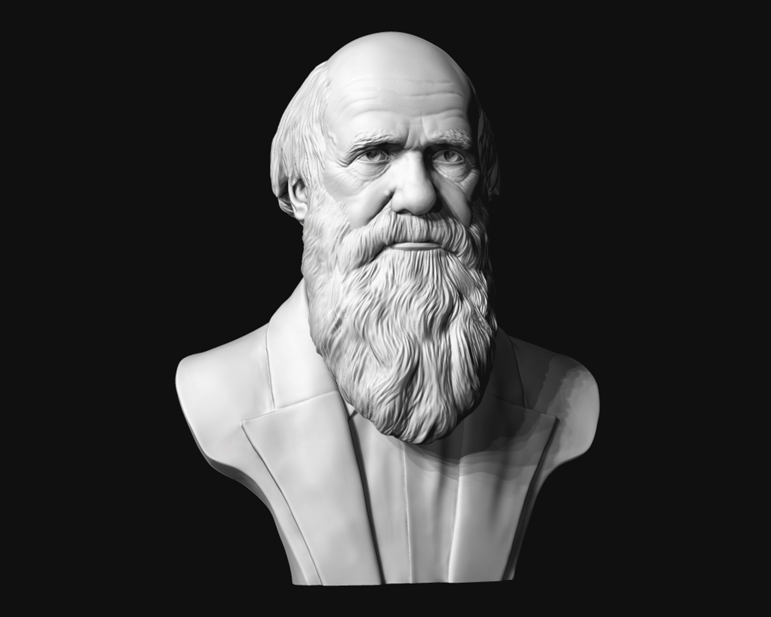 Charles Darwin portrait sculpture 3D print model_10