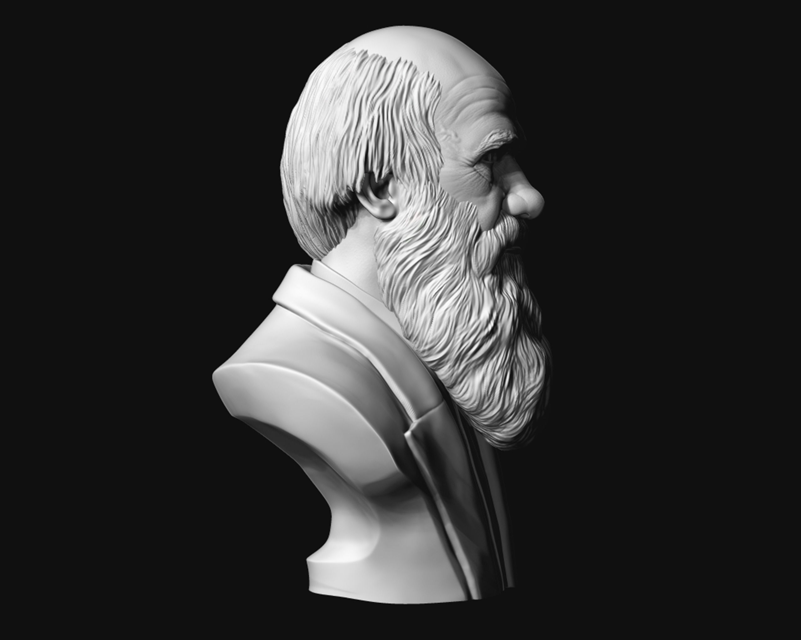 Charles Darwin portrait sculpture 3D print model_9