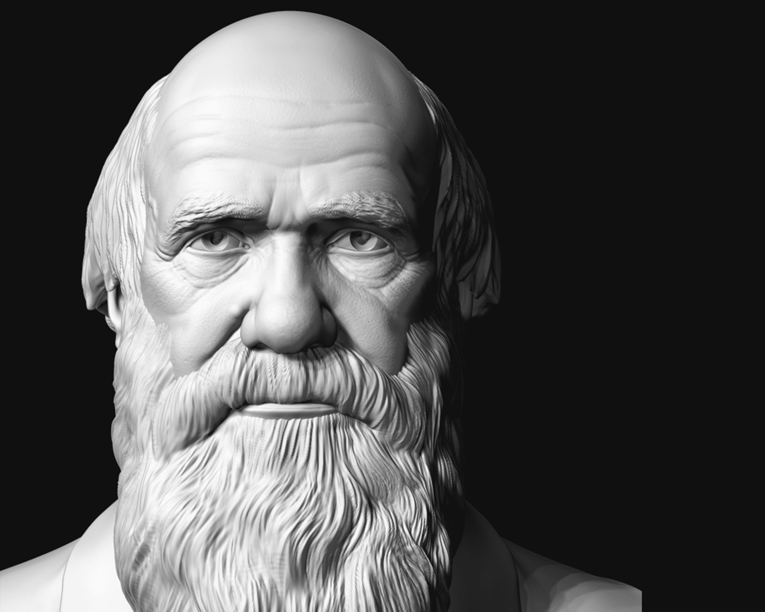 Charles Darwin portrait sculpture 3D print model_5