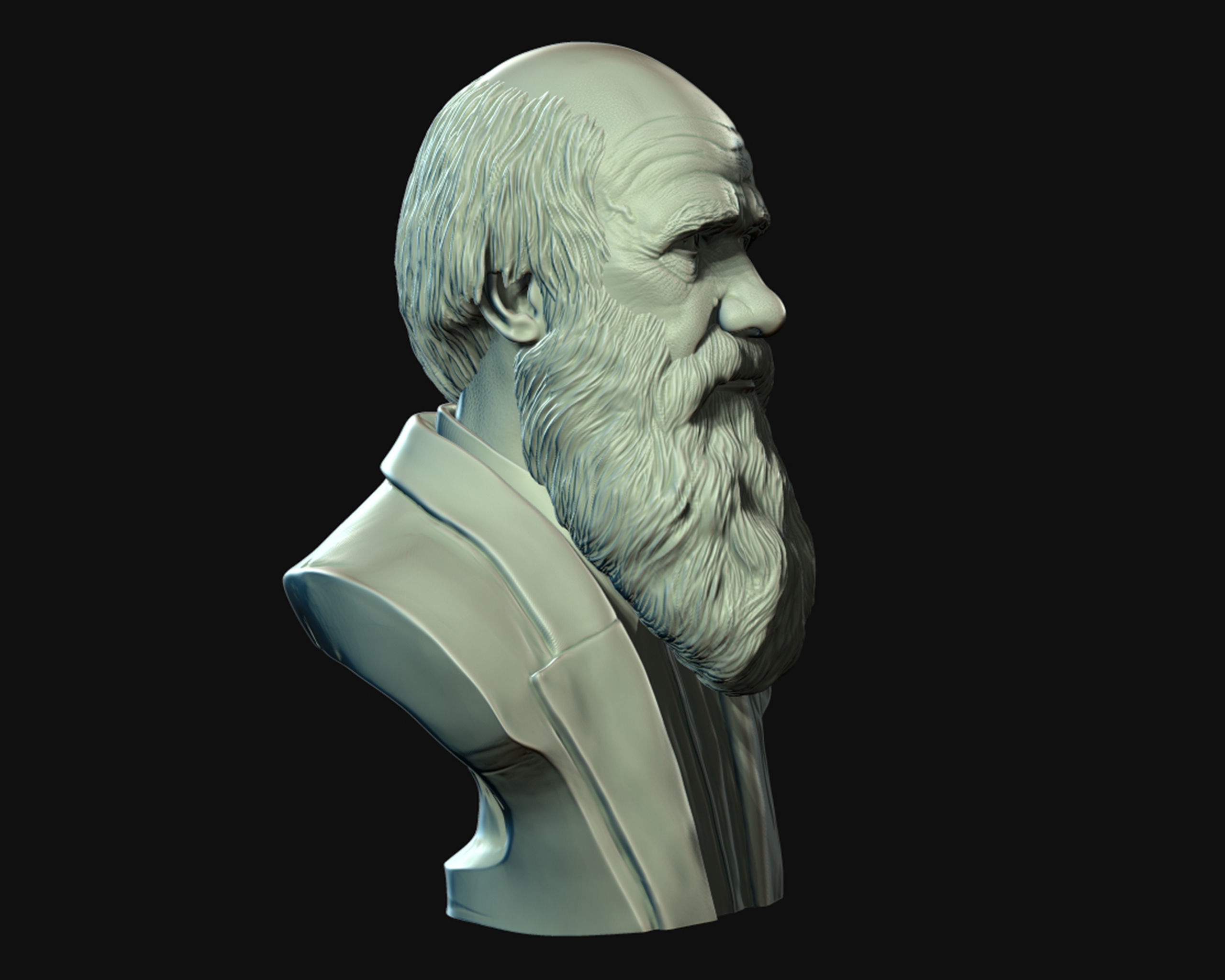 Charles Darwin portrait sculpture 3D print model_15