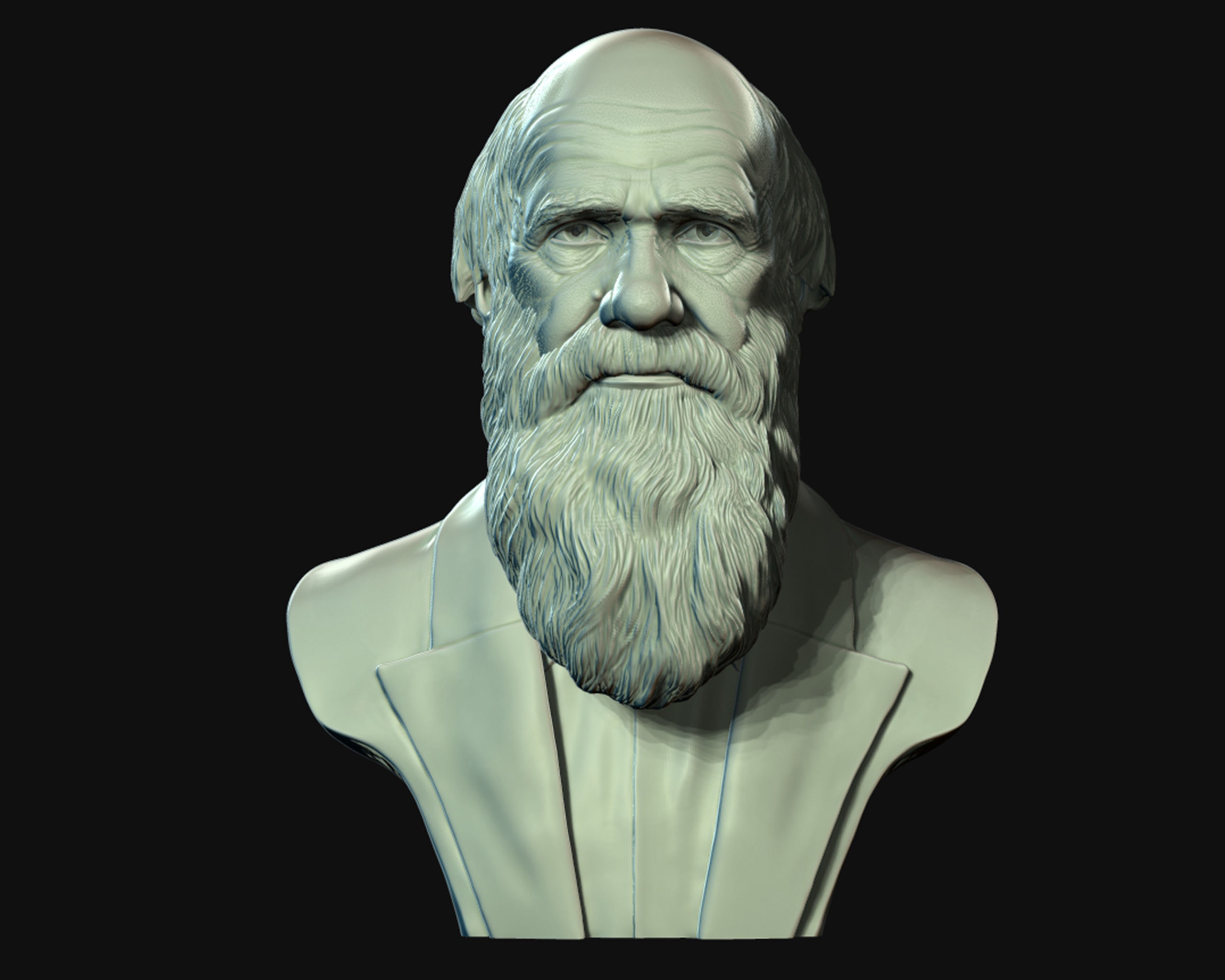 Charles Darwin portrait sculpture 3D print model_11