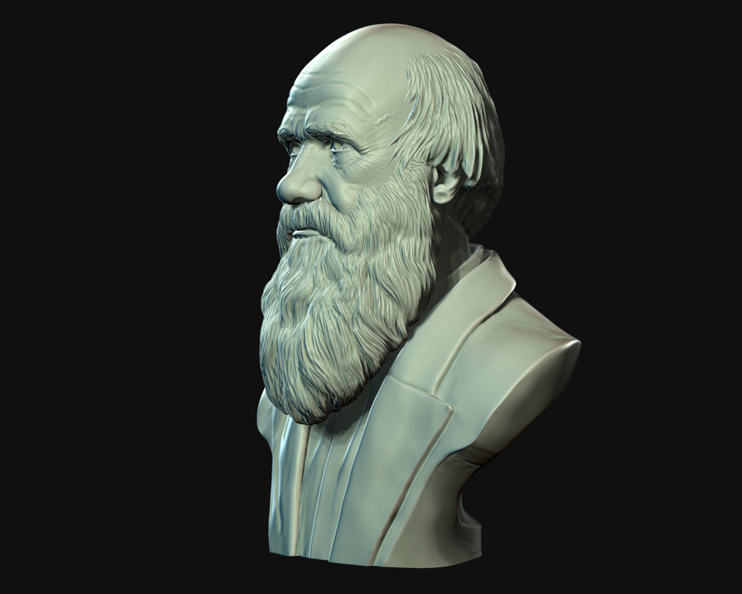 Charles Darwin portrait sculpture 3D print model_13
